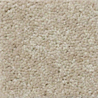 Shaw Floors XV426 Ultra Suede SHAW