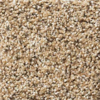 Shaw Floors Elemental Mix III Briddle Leather SHAW