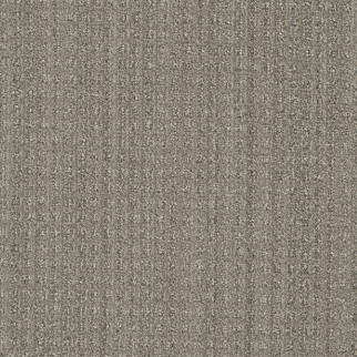 DW Select Carpet Dublin II Mexicali DREAMWEAVER