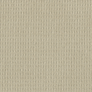 Dreamweaver Carpet Perfect Balance Wishful DREAMWEAVER