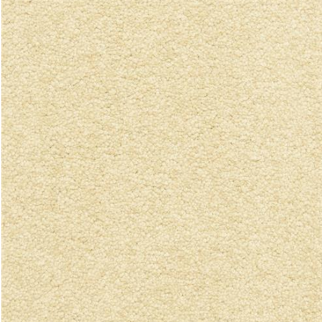 Dixie Home Dawn's Delight Fennel Seed