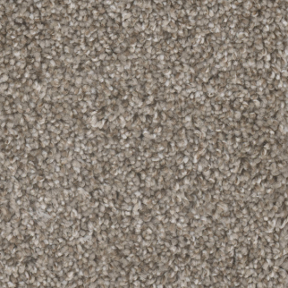 Dreamweaver Carpet Jackson Hole I Cedar Way DREAMWEAVER