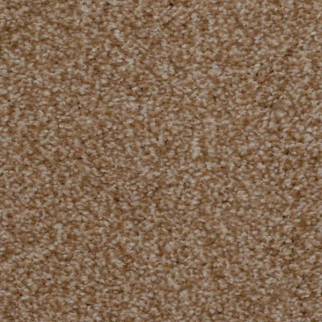 Dixie Home Spellbinding Tannery