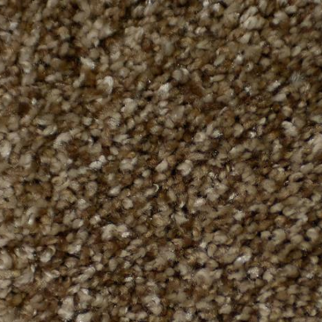 Dixie Home Brilliance Tenderfoot