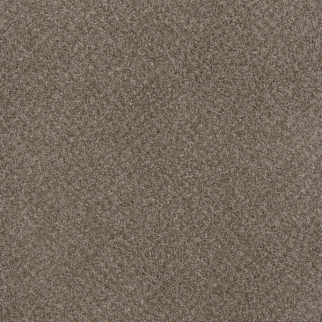 Dreamweaver Carpet Toast Of The Town English Stone DREAMWEAVER