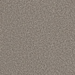 Dreamweaver Carpet Out of This World I Meteor DREAMWEAVER