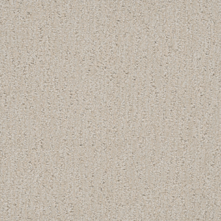 Dreamweaver Carpet Finishing Touch Pearl DREAMWEAVER