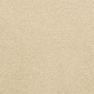 Masland Carpets Patriot Ashford Masland