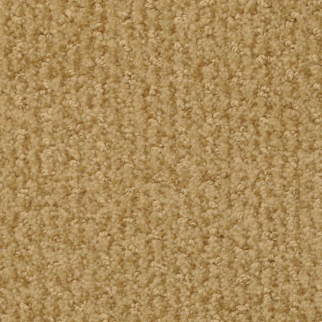 Masland Carpets Pinehurst Putter Masland