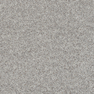 Dreamweaver Carpet Out of This World II Gemini DREAMWEAVER