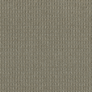 Dreamweaver Carpet Perfect Balance Ravishing DREAMWEAVER