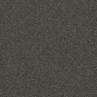 Dreamweaver Carpet Gold Standard II Onyx DREAMWEAVER