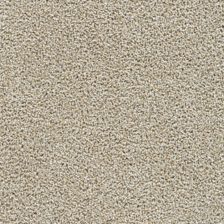 Dreamweaver Carpet Captivating I Peanut Brittle DREAMWEAVER