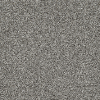 Dreamweaver Carpet Gold Standard III Platinum DREAMWEAVER