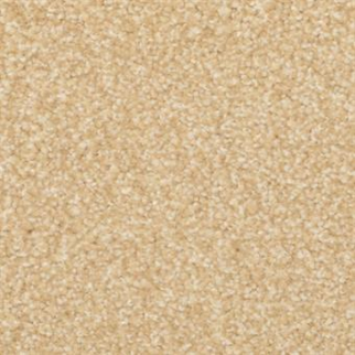 Masland Carpets Beacon Hill Almond Shell Masland