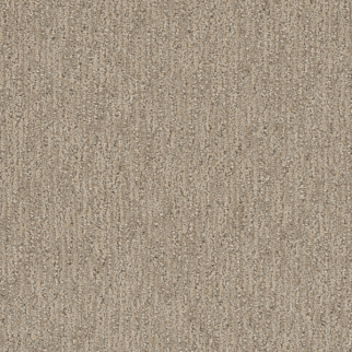 Dreamweaver Carpet Finishing Touch Dulce DREAMWEAVER