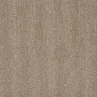 Dreamweaver Carpet Smooth Sailing Shortbread DREAMWEAVER