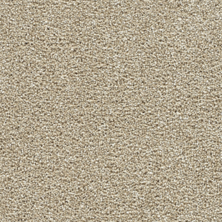 Dreamweaver Carpet Breakview I Spiced Apple DREAMWEAVER