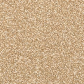 Masland Carpets Beacon Hill Camellia Masland