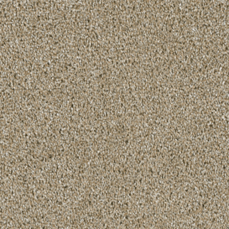 Dreamweaver Carpet Acclaim Outback DREAMWEAVER