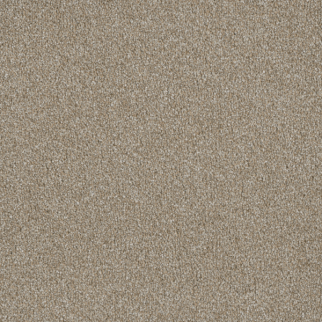 Dreamweaver Carpet Luxor II Outback DREAMWEAVER