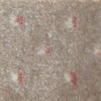 Milliken Carpets Legacy Sandstone