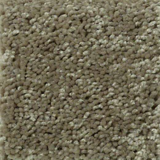 Shaw Floors Full Court 12 Aloe SHAW