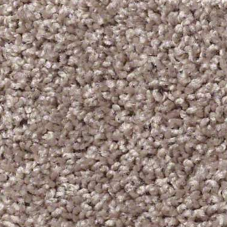 Shaw Floors Fielders Choice 12 Aloe SHAW