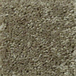 Shaw Floors Full Court 15 Aloe SHAW