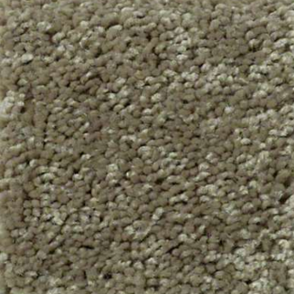 Shaw Floors Fielders Choice 15 Aloe SHAW