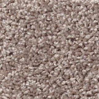 Shaw Floors All Star Weekend I 12' Aloe SHAW