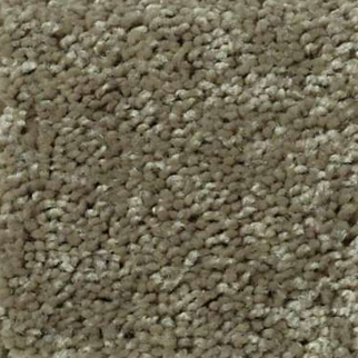 Shaw Floors All Star Weekend III 12' Aloe SHAW