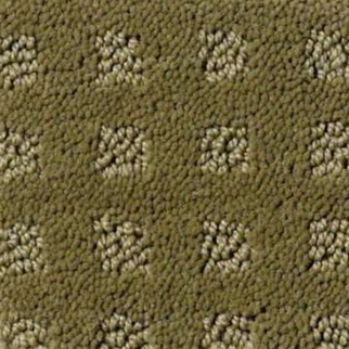 Shaw Floors Nottingham Aloe SHAW