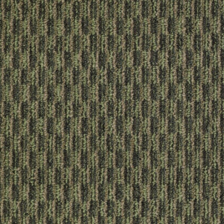 Philadelphia Commercial Pattern Play Hedge Row Shaw