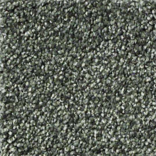 Shaw Floors Anso It Goes Lush SHAW