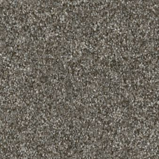 Shaw Floors Without Limits III Organic SHAW