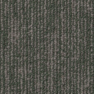 Shaw Floors Engrain Primitive SHAW