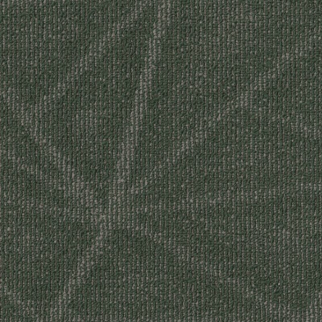 Shaw Floors Refine Primitive SHAW