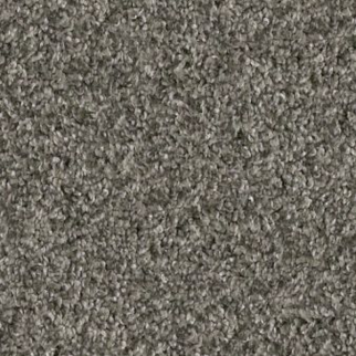 Shaw Floors Yes You Can I 12' Rerooted Nature SHAW