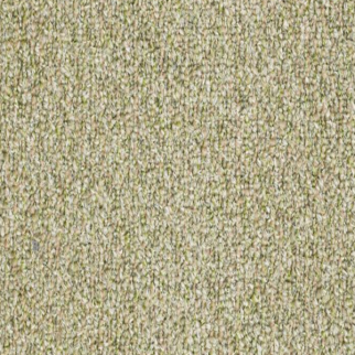 Philadelphia Commercial Natural Path Seedling Shaw