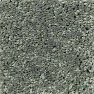 Shaw Floors Well Played I 15 Spring Leaf SHAW