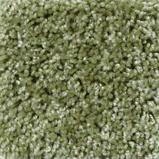 Shaw Floors Dreamin 12' Spring Valley SHAW