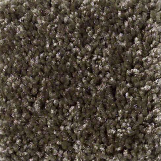 Shaw Floors Dreamin 12' Central Park SHAW