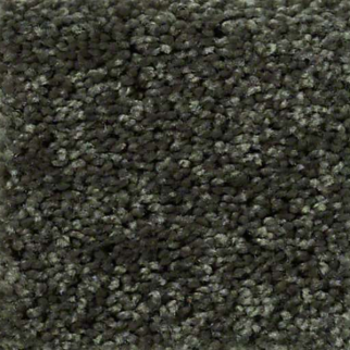 Shaw Floors Full Court 12 Garden Grove SHAW