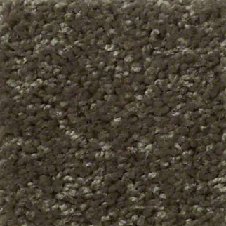 Shaw Floors Fielders Choice 12 Hedges SHAW