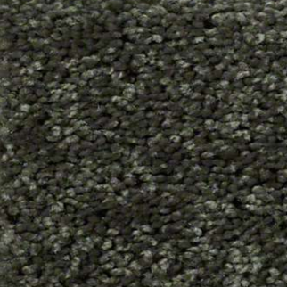 Shaw Floors Fielders Choice 15 Hedges SHAW