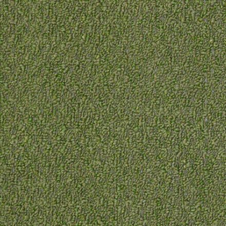 Philadelphia Commercial Gardenscape (T) Holly Leaf Shaw