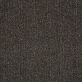 Philadelphia Commercial Windsurf Hummingbird Shaw