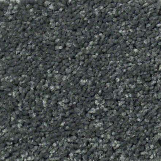 Shaw Floors Well Played II 15 Aspen SHAW