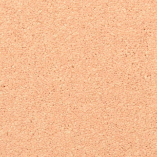 Masland Carpets Morgan Bay Clay Pot Masland